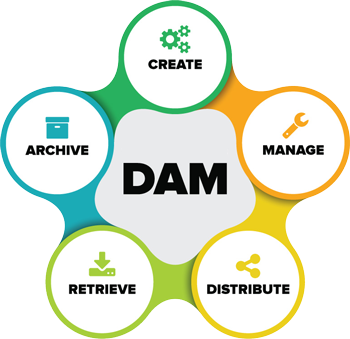 Digital Asset Management helps small business in content lifecycle