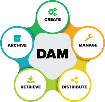 compare digital asset management tools