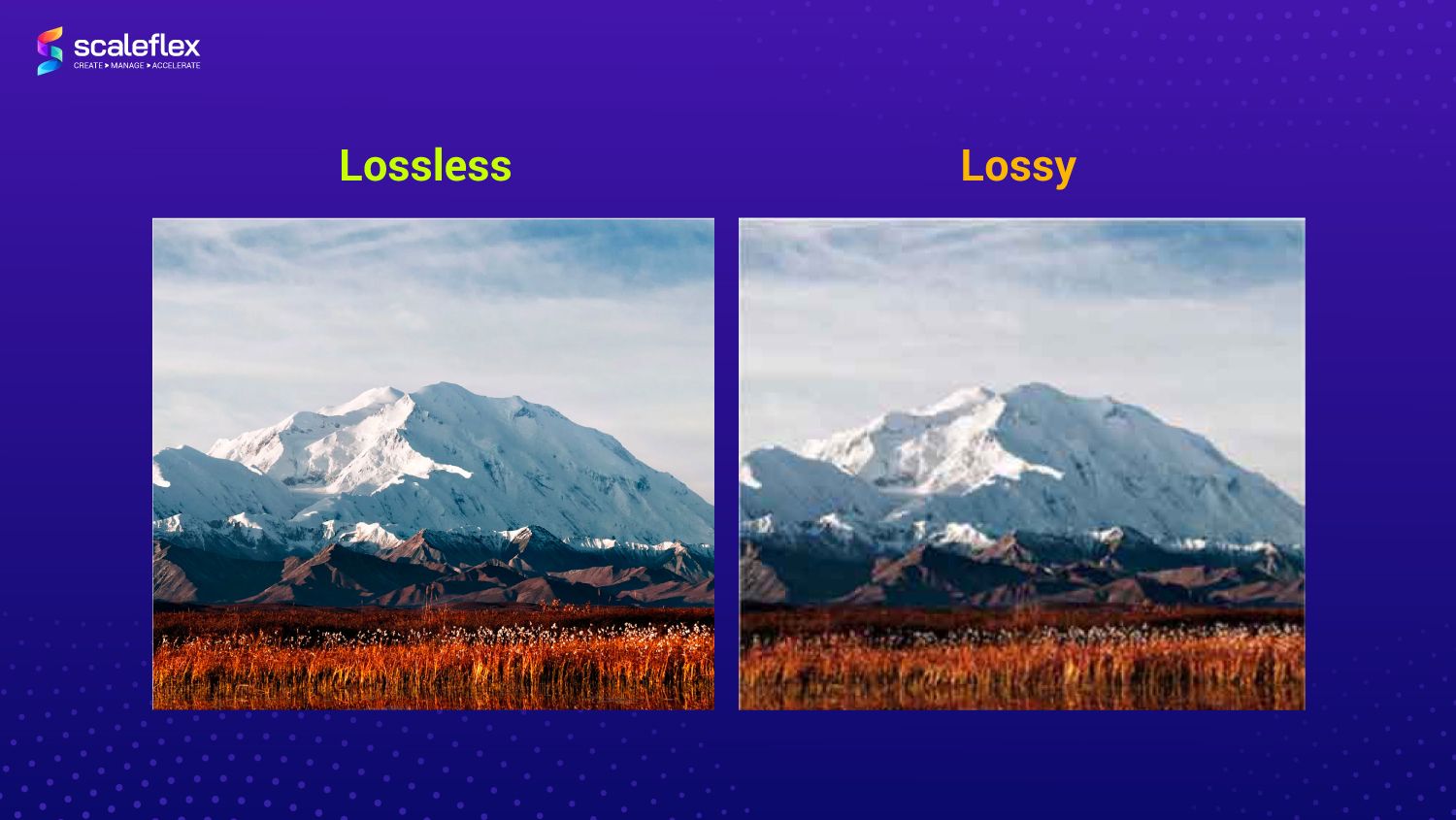 The side-by-side comparison between lossless and lossy compression.