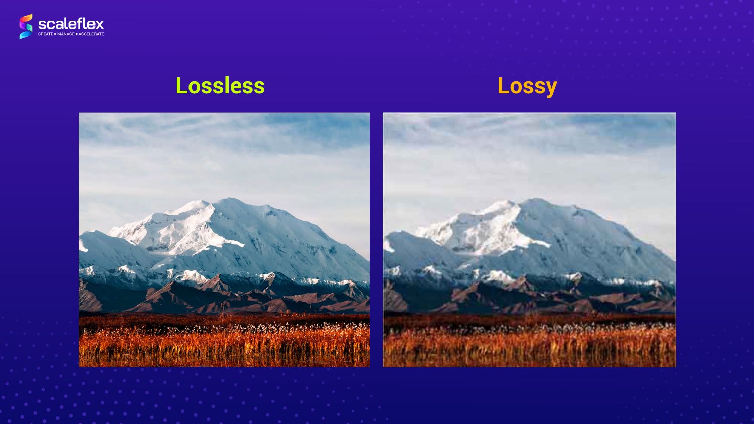 Lossy Vs Lossless Compression: Guide To Image Compression