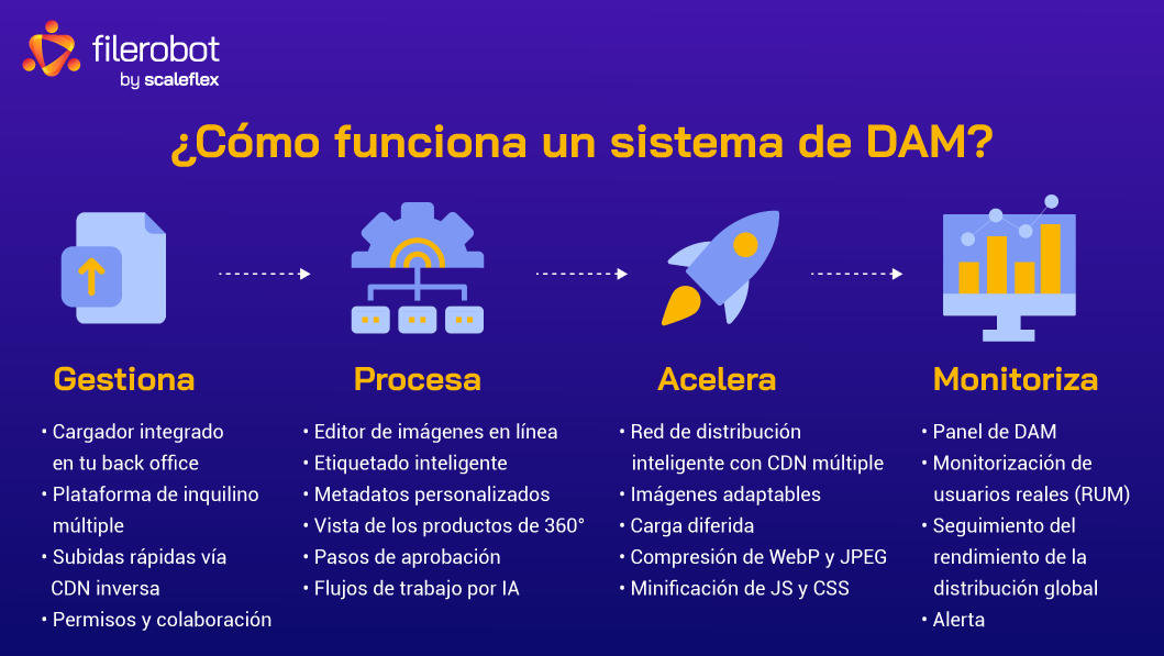 Las principales etapas clave que desempeña una plataforma de DAM para administrar y distribuir los activos digitales