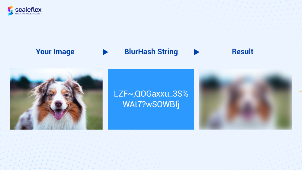 JSON-LD data for schema markup example