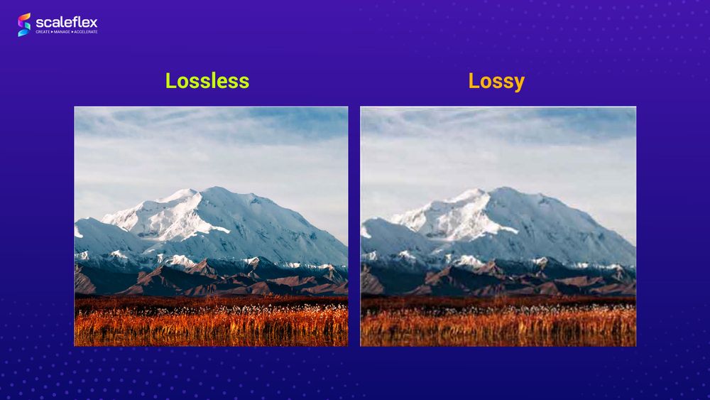 A Guide To The Most Popular Web Image Formats Scaleflex Blog a-guide-to-the-most-popular-web-image-formats-scaleflex-blog